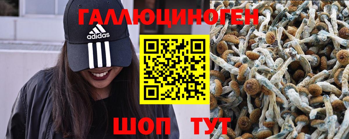 Псилоцибиновые грибы мицелий  продажа наркотиков  Красноармейск  Вход с VPN 