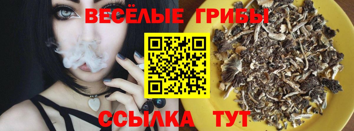 Галлюциногенные грибы Psilocybine cubensis Красноармейск